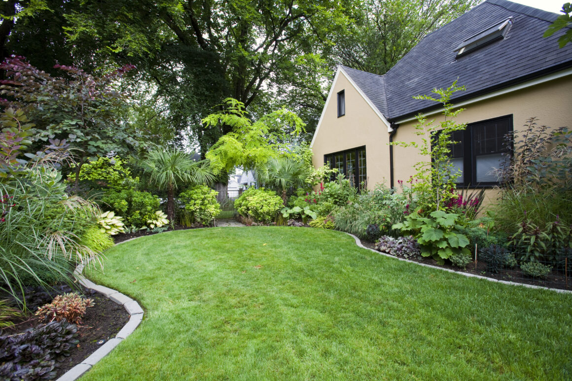 Las 10 mejores plantas de exterior resistentes para tu jardín