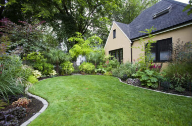 Las 10 mejores plantas de exterior resistentes para tu jardín